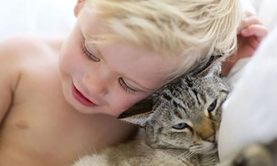 Peau qui démange et allergènes