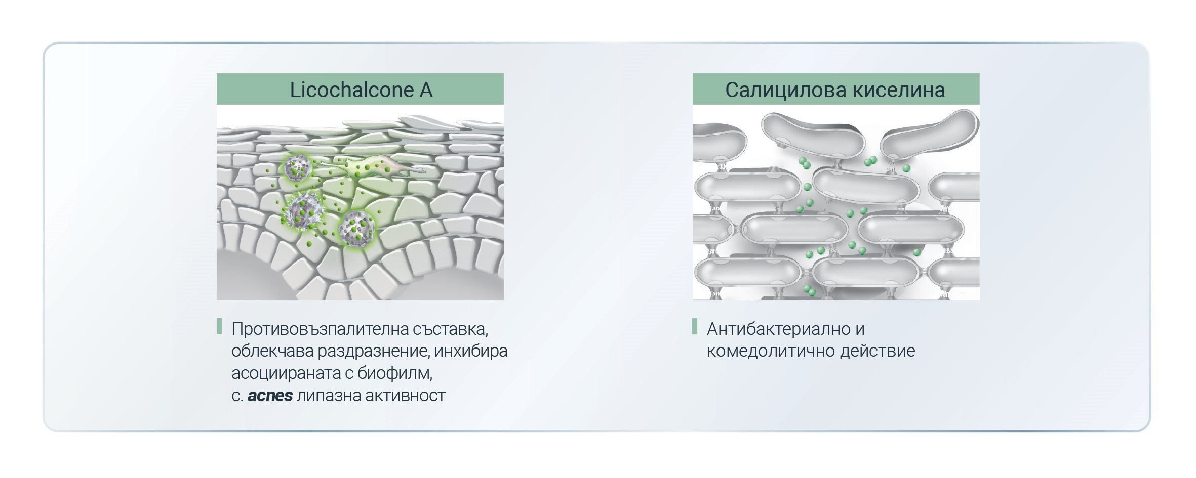 илюстрация на действието на Licochalcone A и салицилова киселина