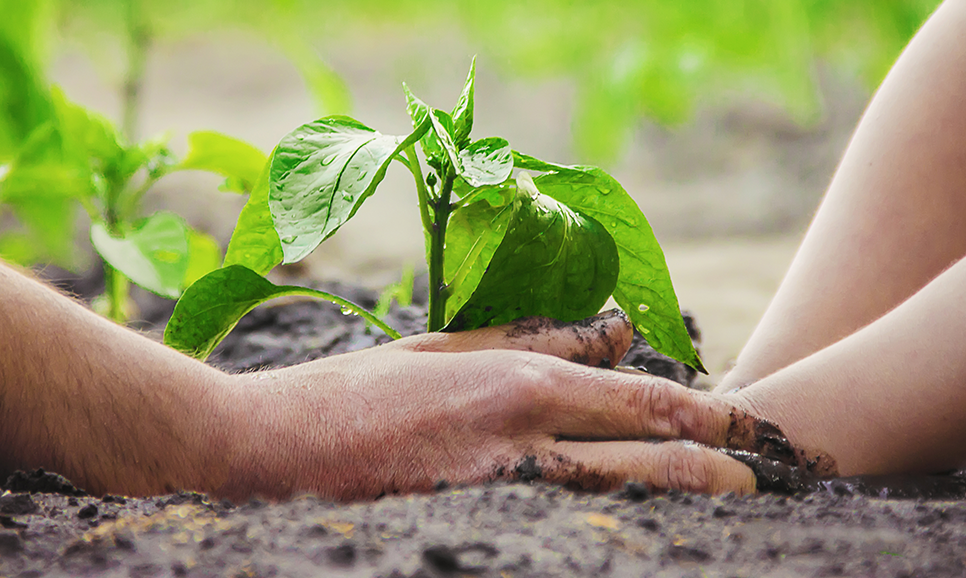 znanstvenica u laboratoriju