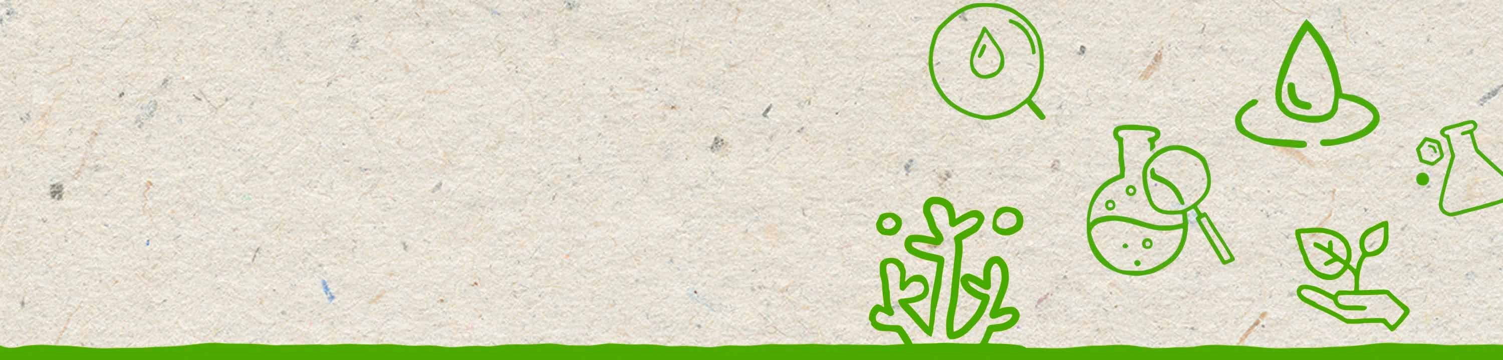 Illustrazioni verdi astratte di barriere coralline e ingredienti cosmetici su uno sfondo beige sabbioso