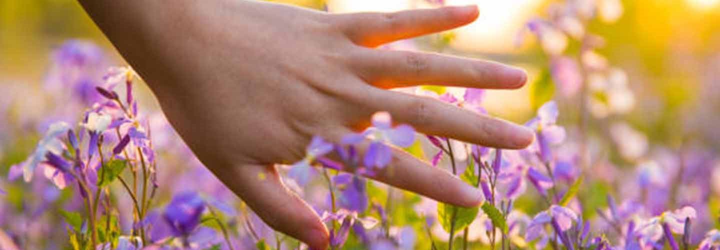 prodotti refill per salvaguardare ambiente