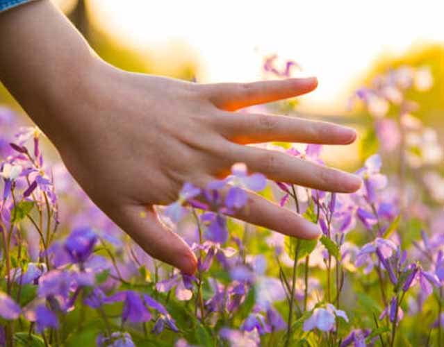 prodotti refill per salvaguardare ambiente