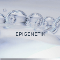 Epigenetik