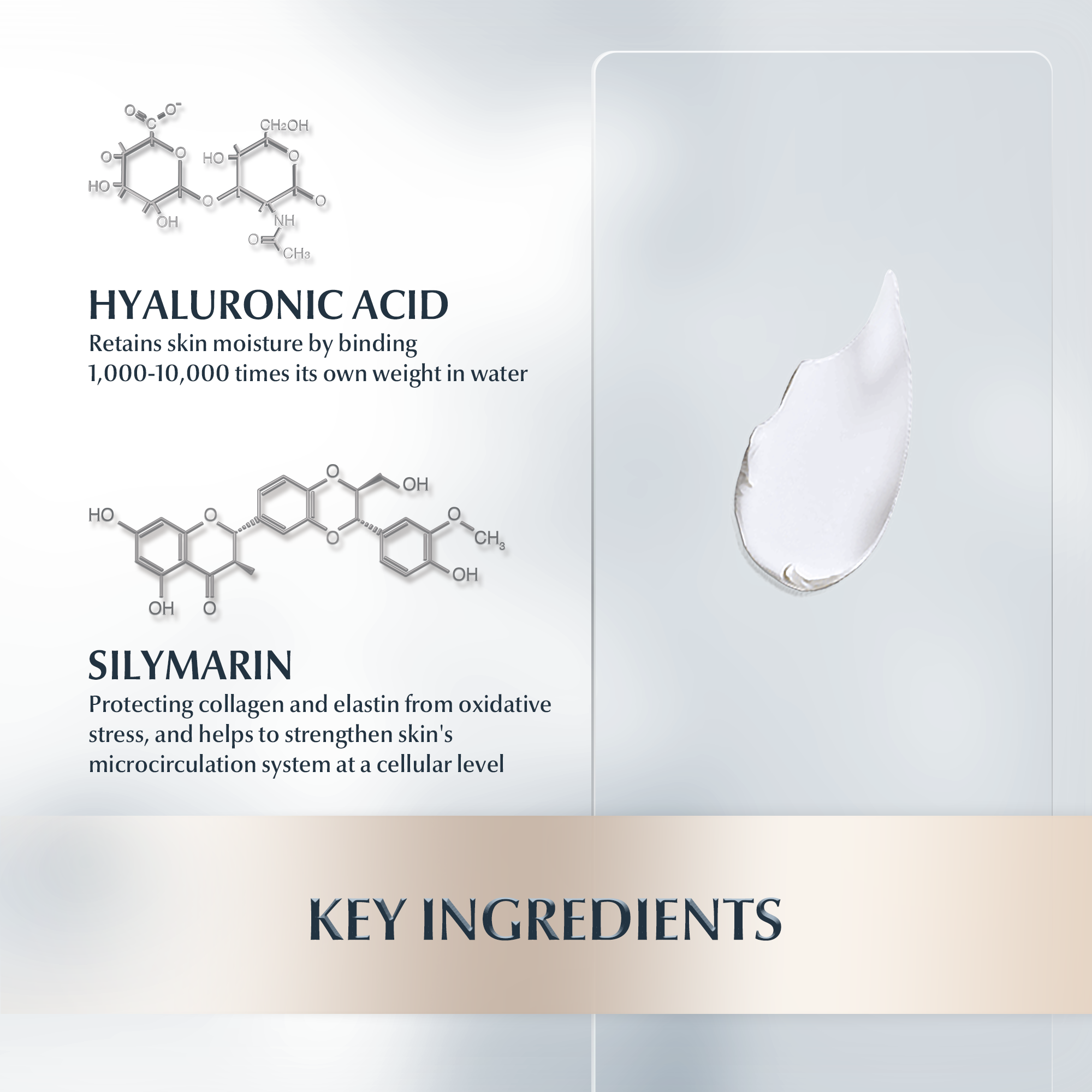 Key Ingredients Hyaluron Elasticity Day Care