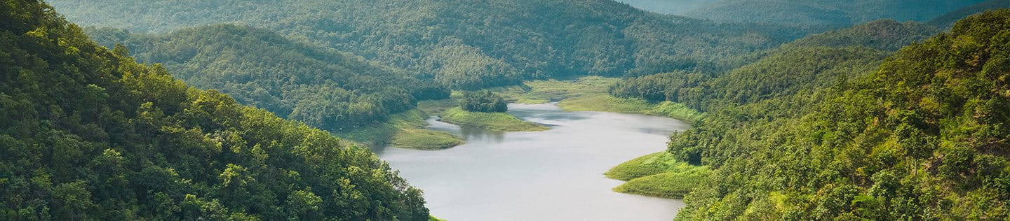 Clean river running through a forest.