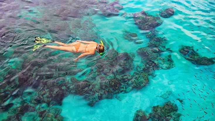 Frau schwimmt mit Schnorchel und Flossen im Meer mit dem Gesicht nach unten