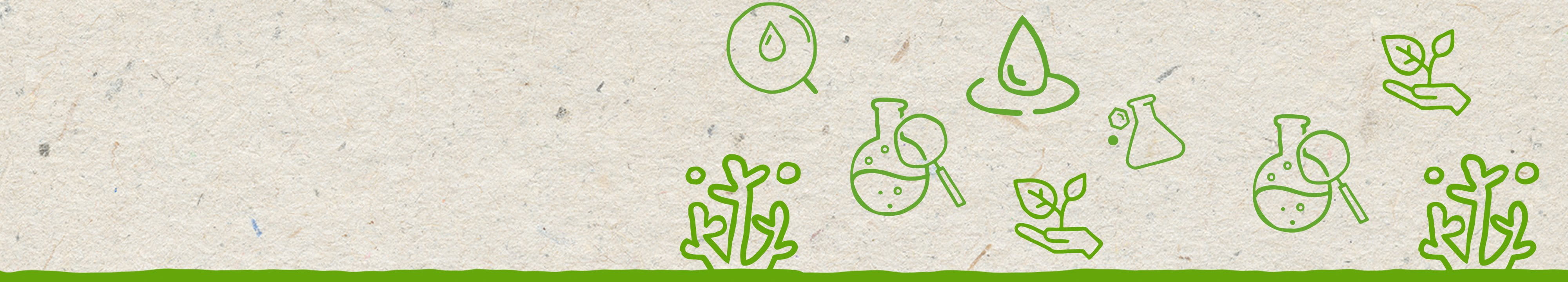 Abstract green illustrations of coral reefs and cosmetic ingredients against a sandy beige textural background