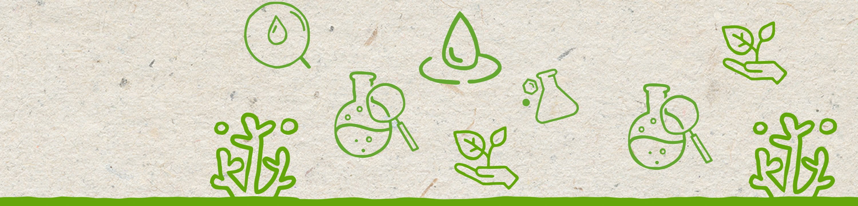 Abstrakte grüne Illustrationen von Korallenriffen und kosmetischen Inhaltsstoffen vor einem sandigen, beigen Hintergrund