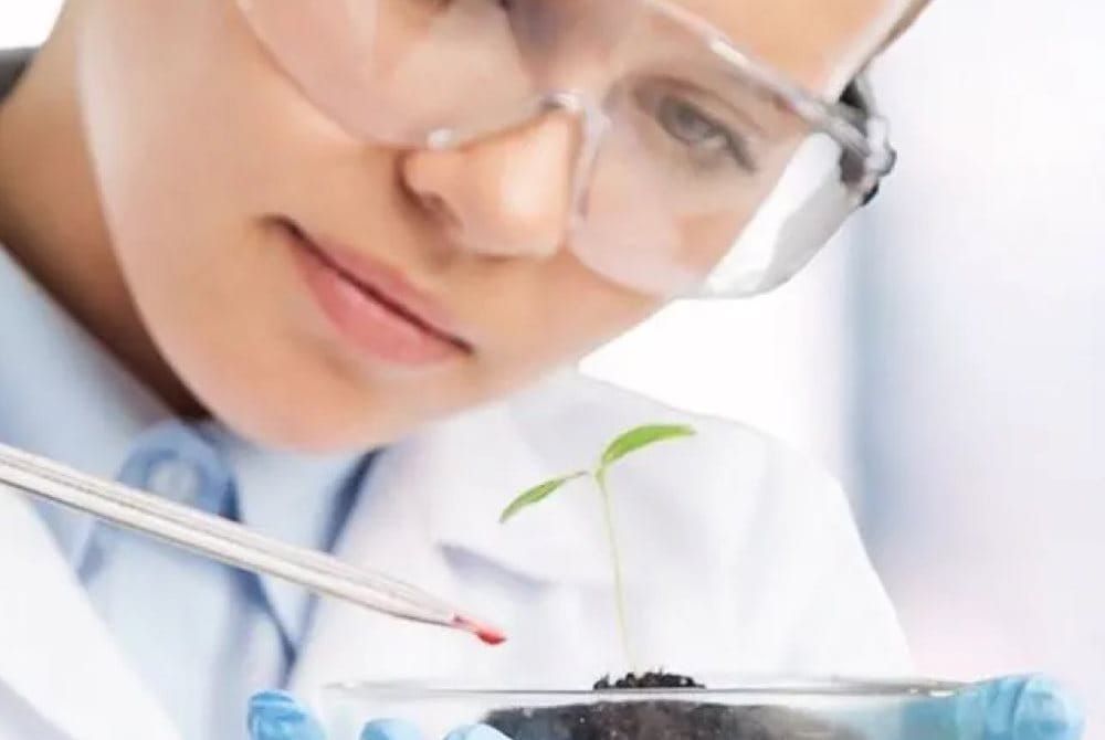 Tutkija tiputtaa varovasti kemiallista näytettä kasviin.