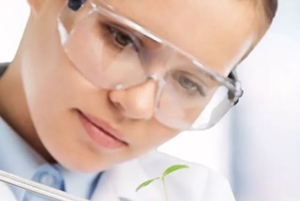 Wissenschaftler tropft  chemische Probe auf Pflanze