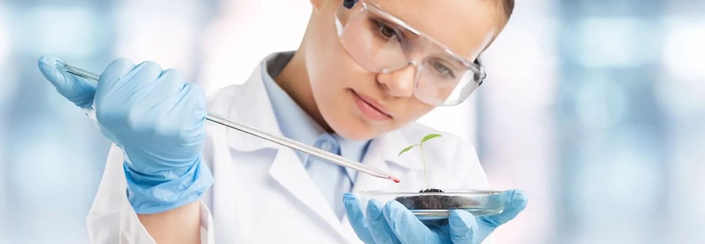 A scientist carefully drips a chemical sample onto a plant.