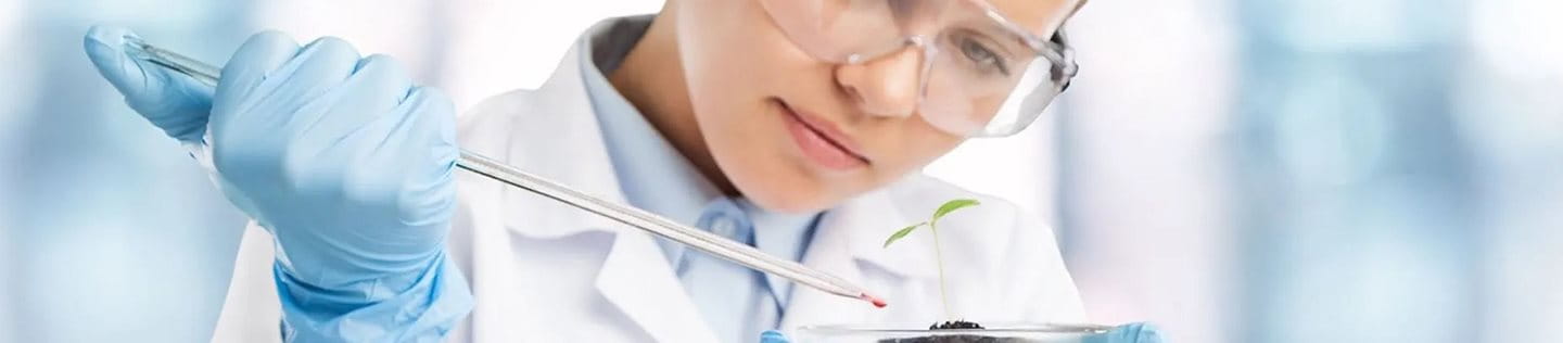 A scientist carefully drips a chemical sample onto a plant.