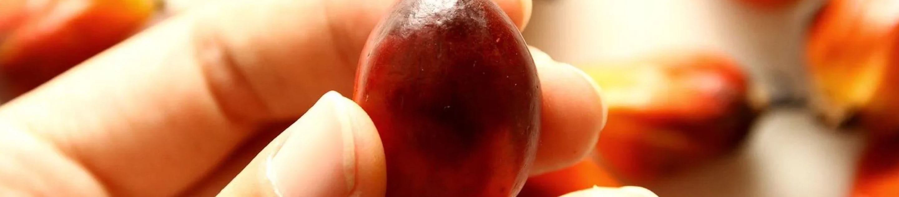 Raw materials for high-quality skincare