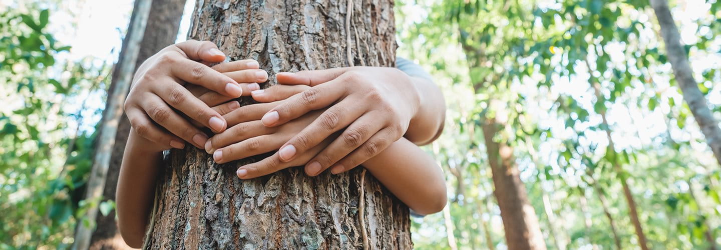 Two people hugging a tree.