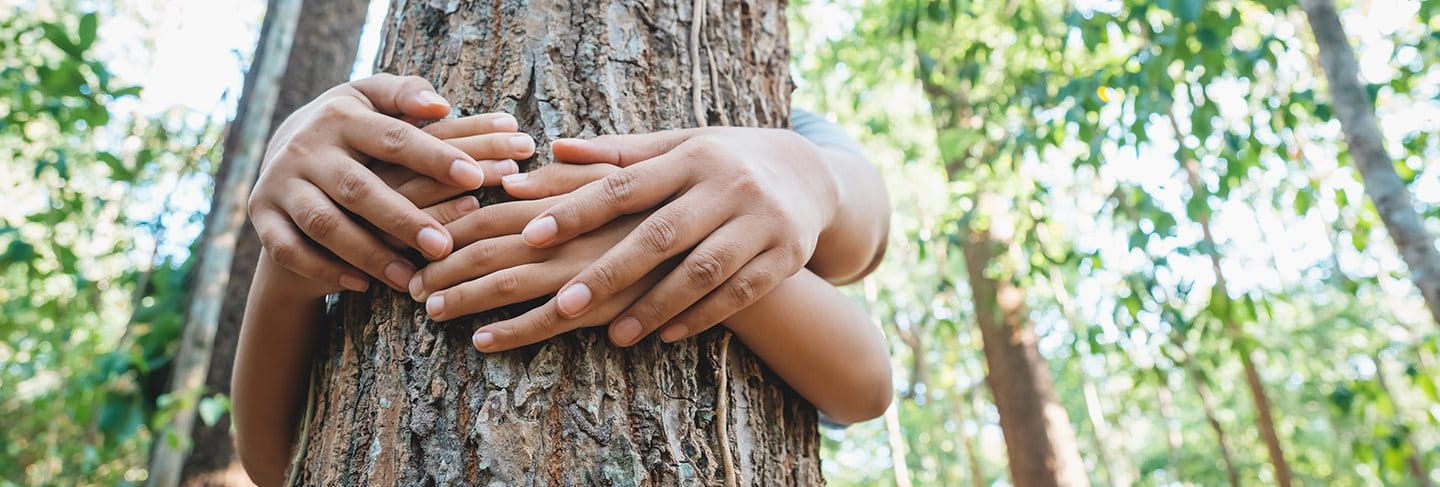 Två personer vars armar och händer kramar en trädstam
