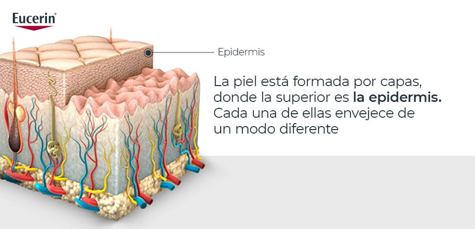 Envejecimiento de la piel