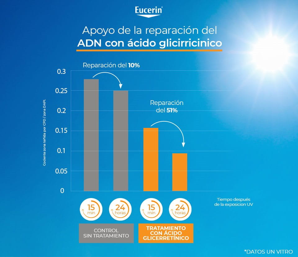 De la protección celular a la protección del ADN