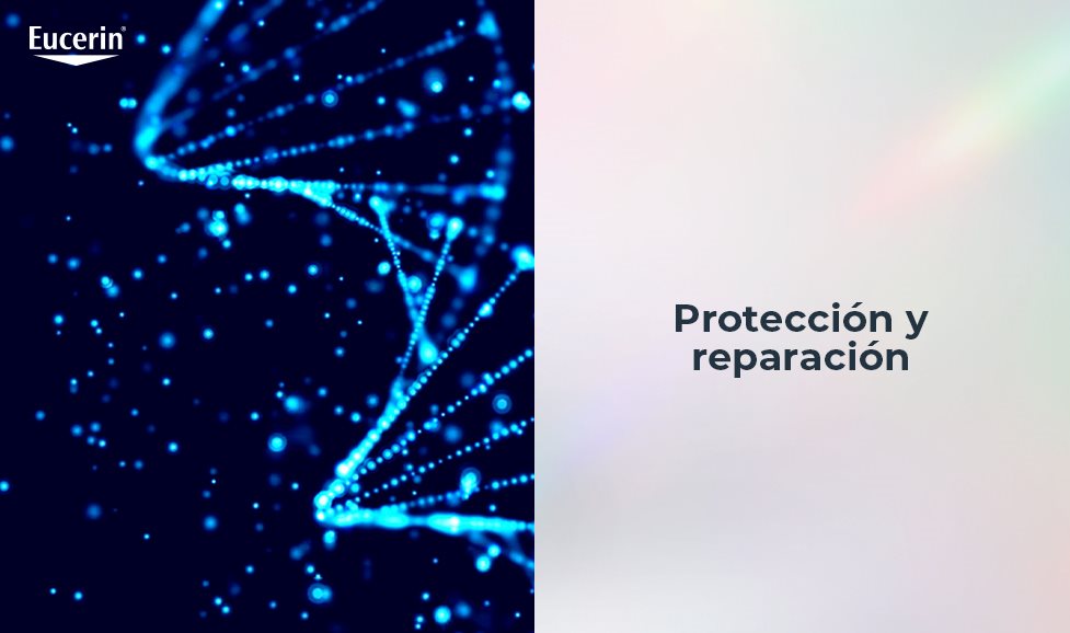 proteccion y reparacion