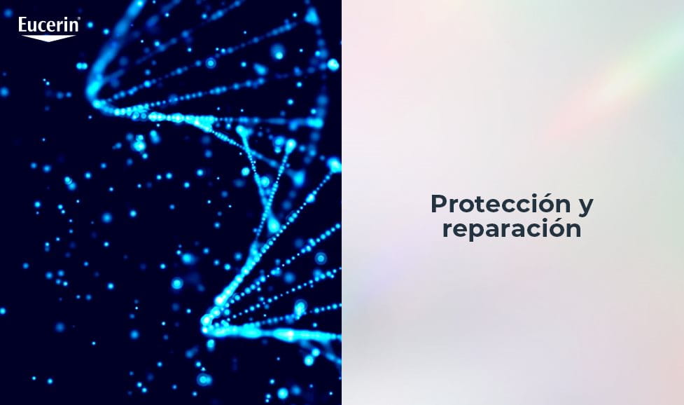 proteccion y reparacion