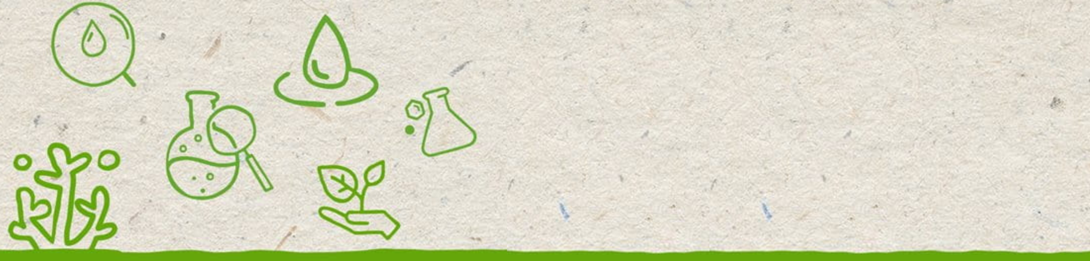 رسوم توضيحية خضراء مجردة للشعاب المرجانية ومكونات مستحضرات التجميل على خلفية مركبة باللون البيج الرملي