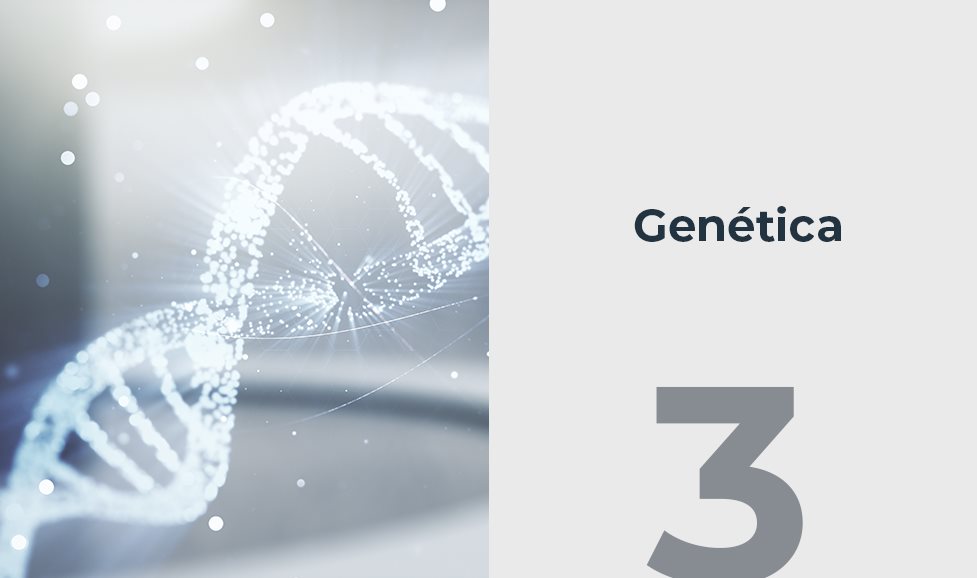 Genética