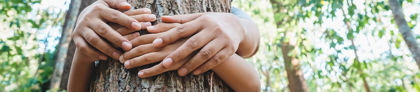 Two people hugging a tree.