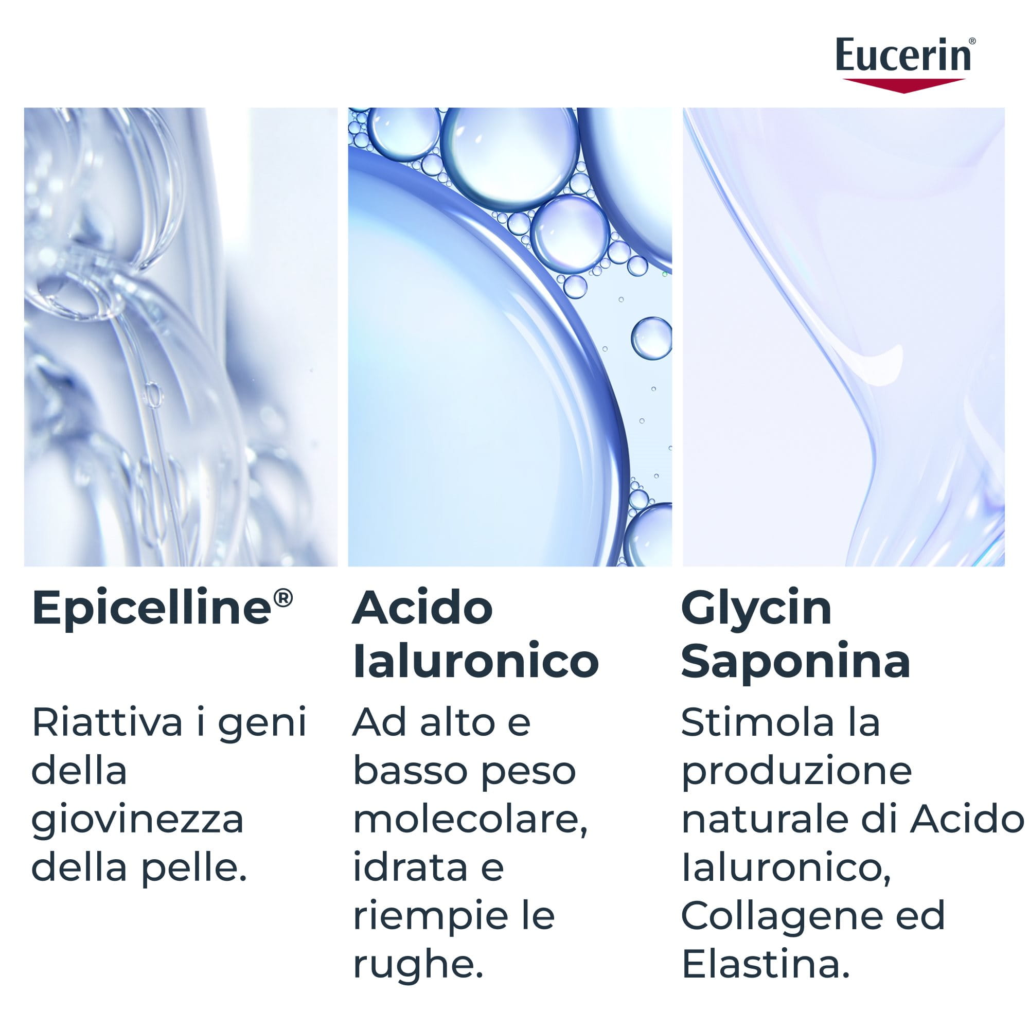 Infografiche che mostrano immagini ravvicinate di Epicelline, Acido Laluronico e Glicina Saponina e i loro principali benefici 