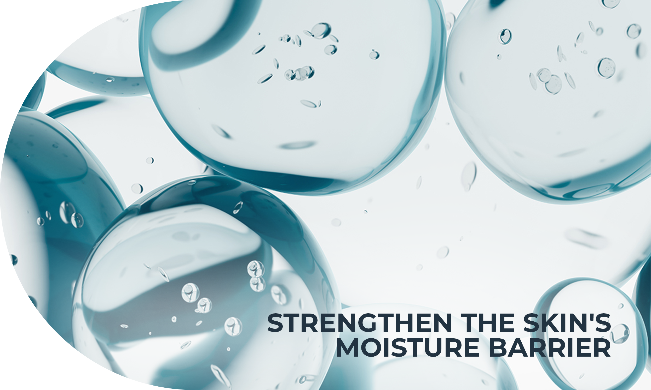 A yellow ball with small circles inside, signifying ceramides strengthening skin’s moisture barrier