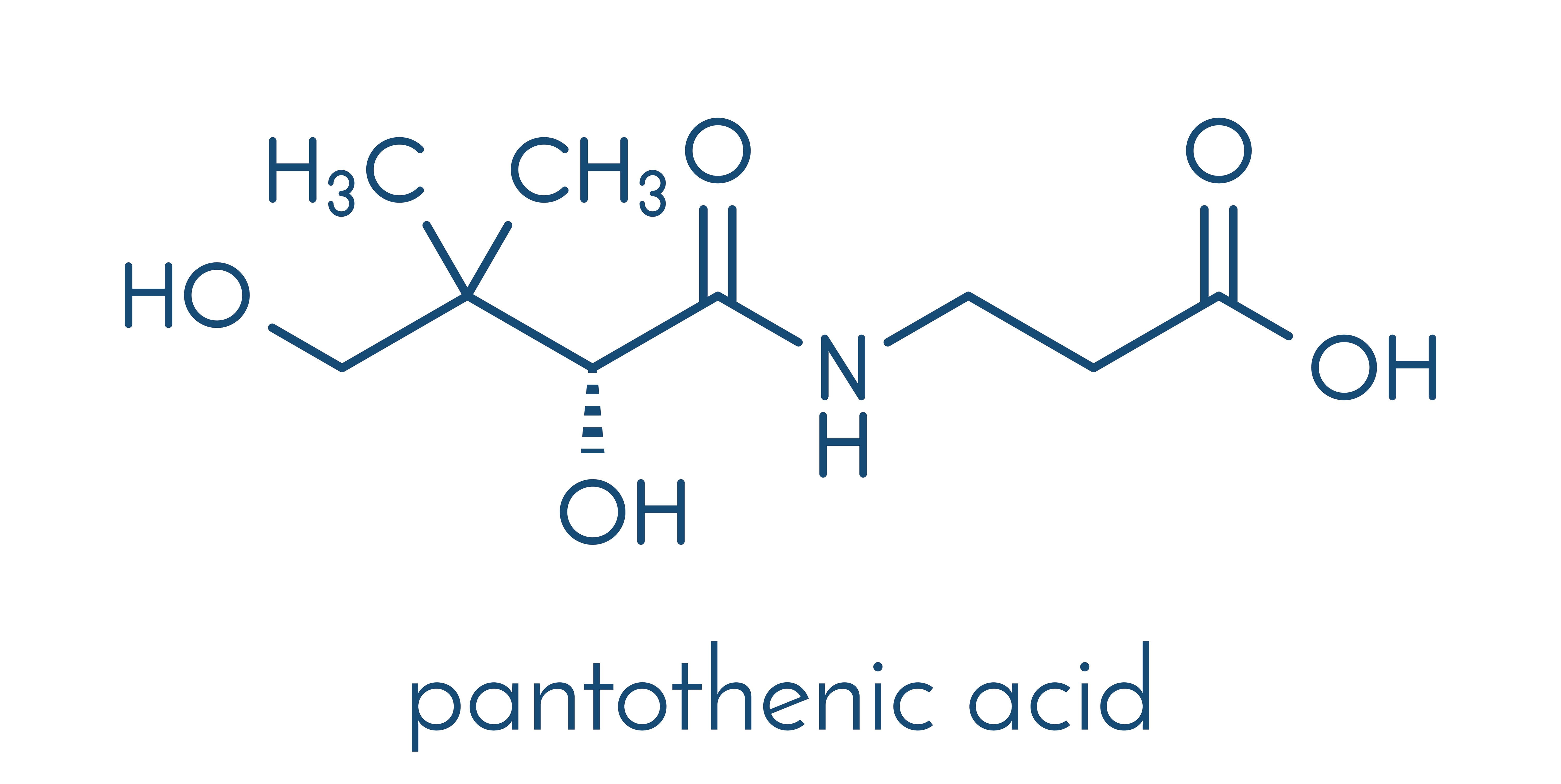 Chemische Darstellung der Panthothensäure, zu der Dexpanthenol in der Haut umgewandelt wird.