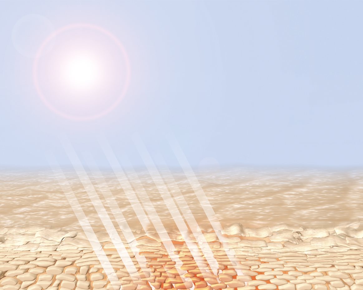 PROTECȚIA TA ZILNICĂ