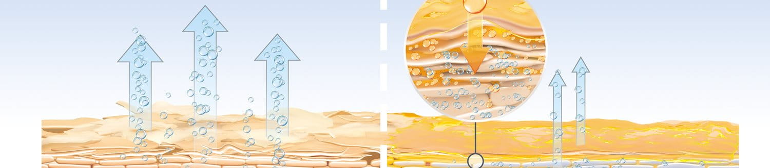 Lip Skin, LipCare Technologies