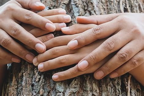 Zwei Menschen umarmen einen Baum.