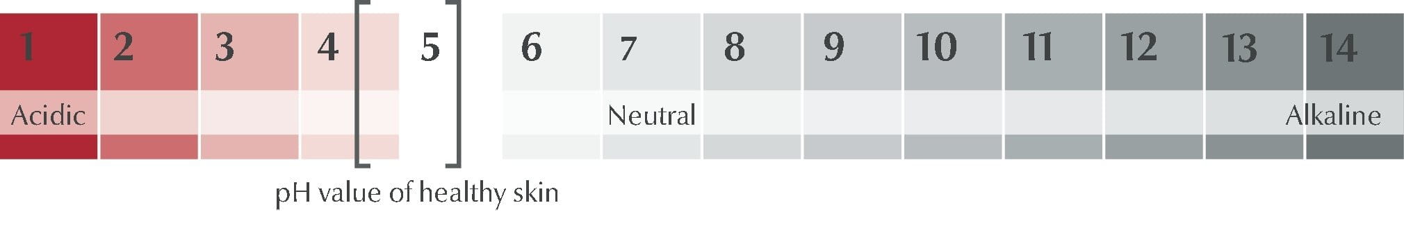 ph на кожата