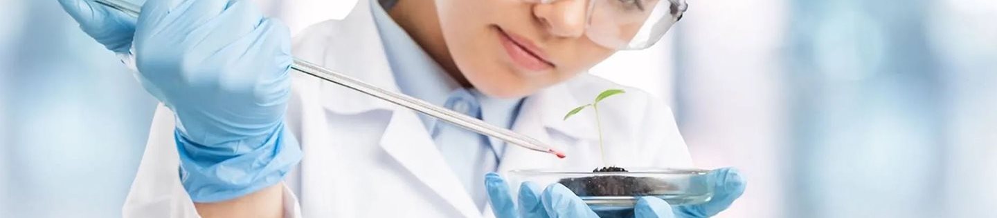 Scientist wearing safety goggles and gloves drops liquid onto soil with a small plant in a petri dish.
