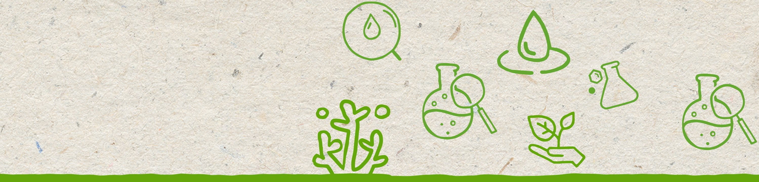 Illustrations vertes abstraites de récifs coralliens et d