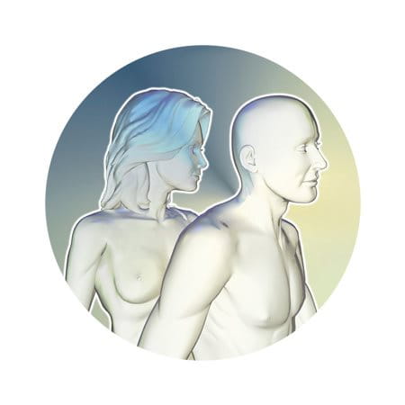Illustration of male and female body