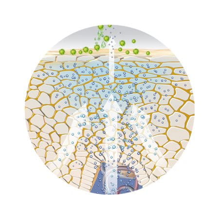 Illustration of skin´s protective barrier