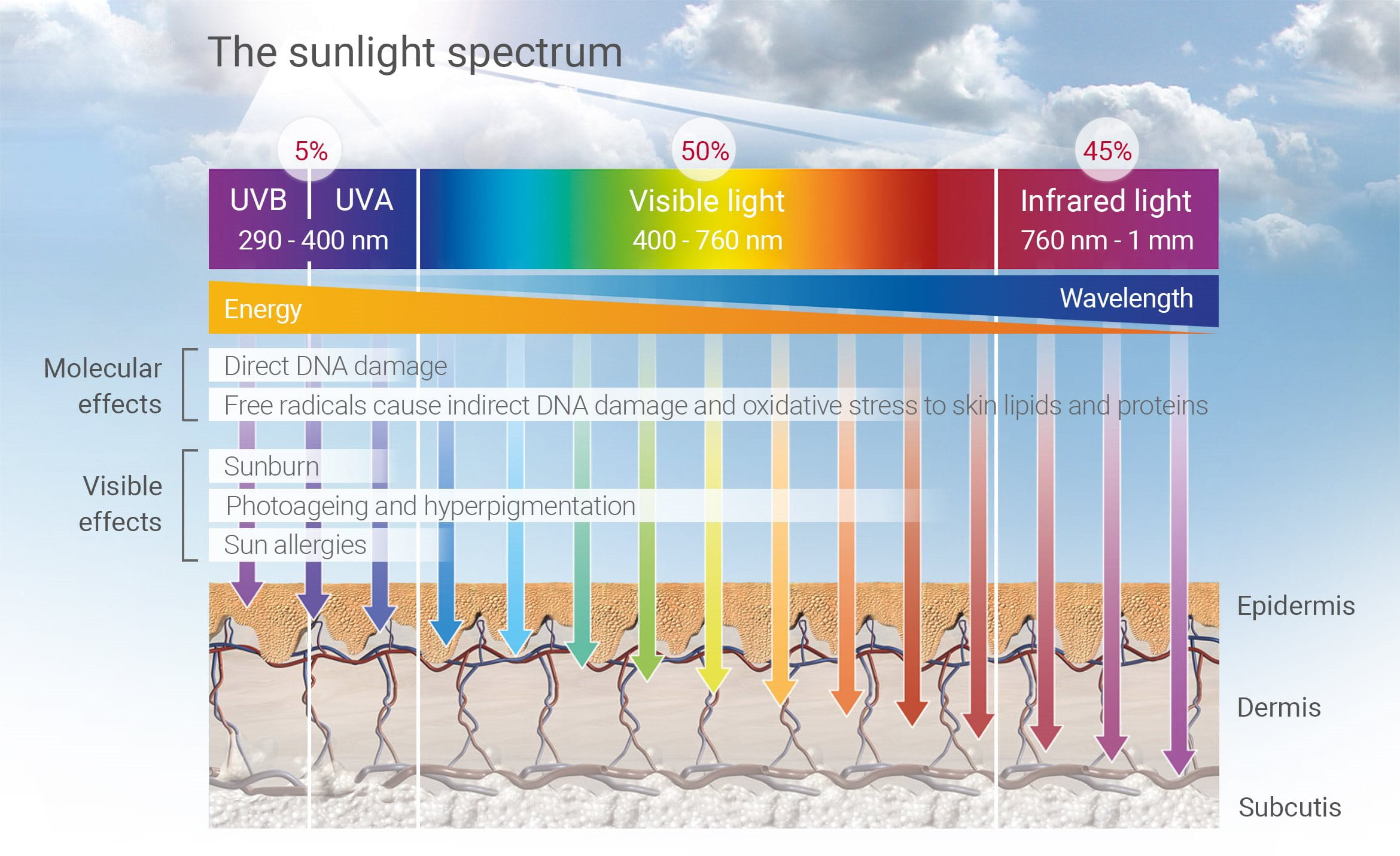 the sunlight spectrum