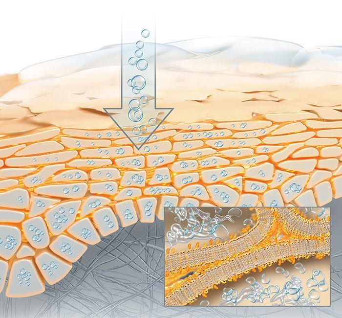 Illustration of dry skin after application of Eucerin UreaRepair products.