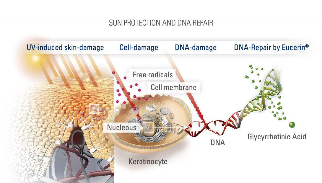 Eucerin Sun Protection DNA Repair 