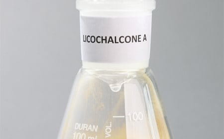 Licochalcone A in a labeled laboratory flask.