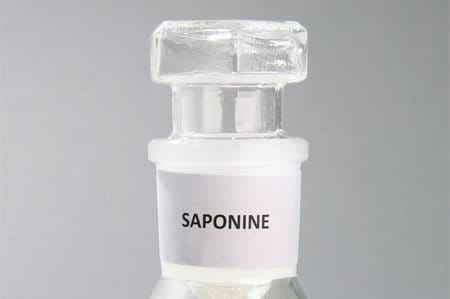 Antioxidatives Saponin