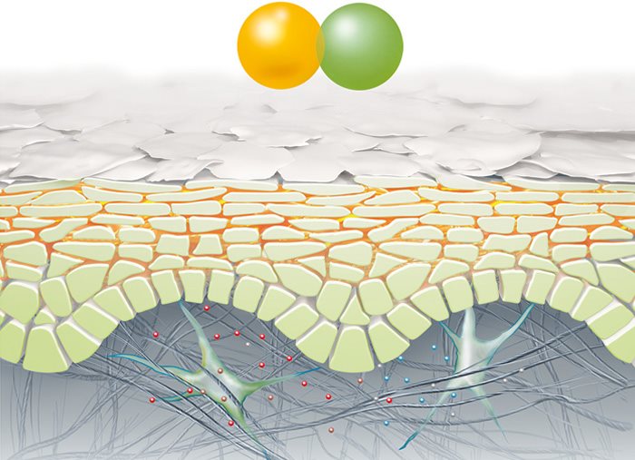 AtopiControl Face Cream for Atopic Dermatitis Eucerin