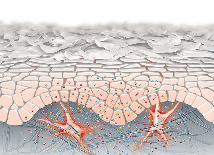 Eucerin AtoControl body care lotion for atopic skin Eucerin