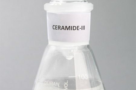 What are Ceramides?