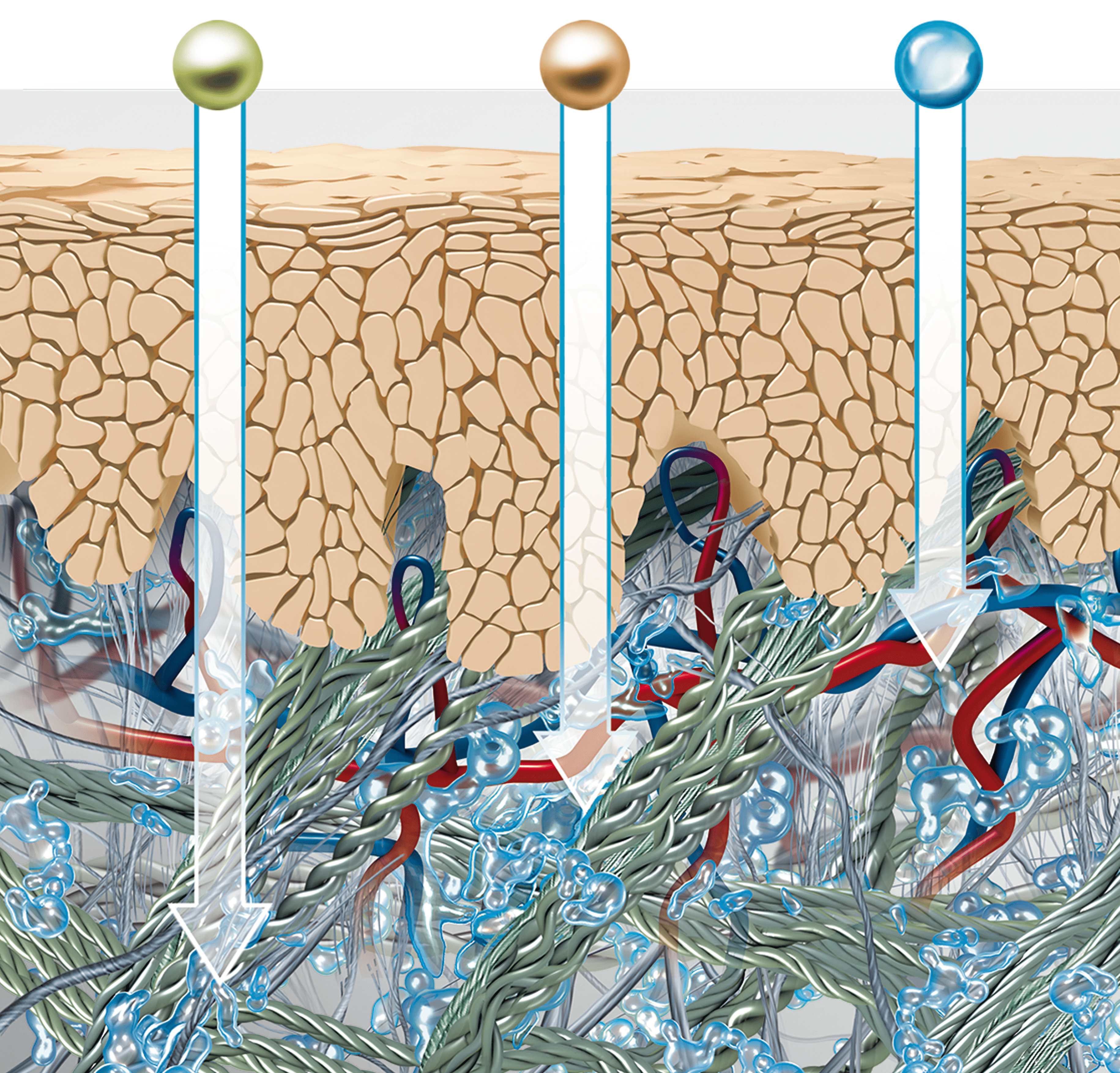 Best treatment for deep wrinkles: illustration