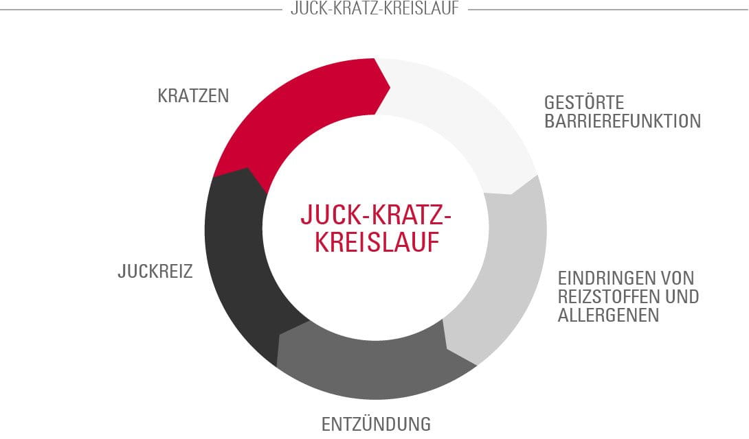 der juck-kratz-kreislauf bei neurodermitis