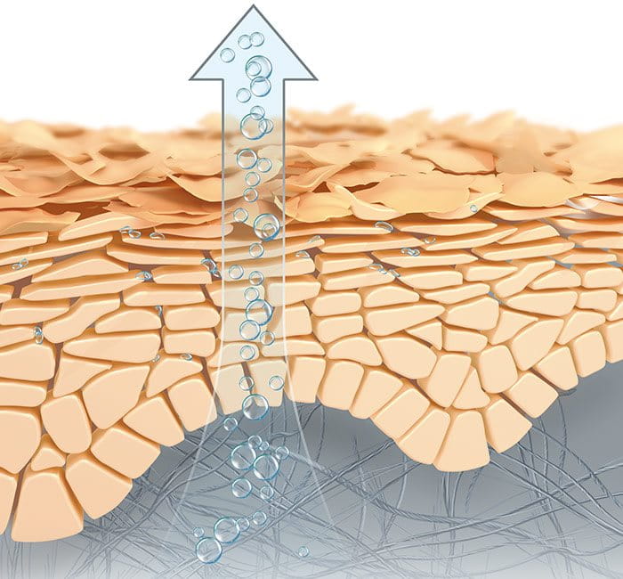 Illustration of natural moisture factors evaporating through the skin