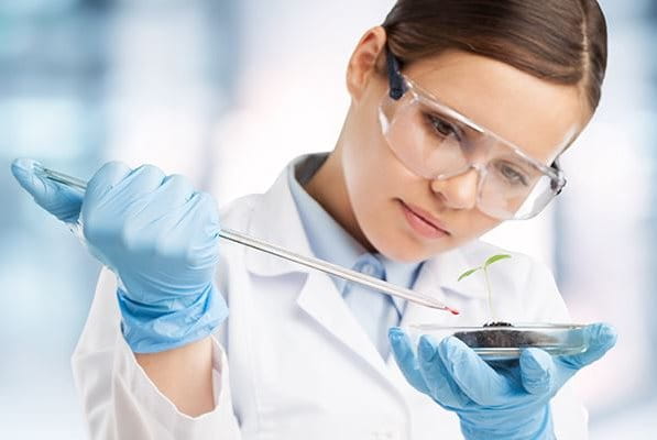 Uno scienziato fa gocciolare attentamente un campione chimico su una pianta