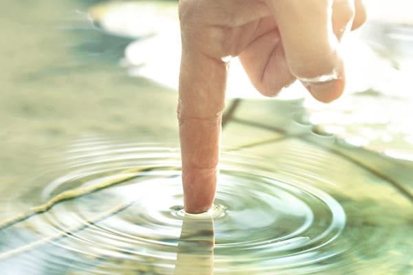 الاستدامة والمسؤولية